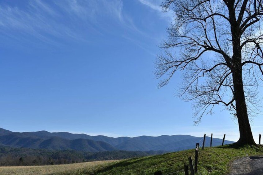 Cades Cove Sightseeing Bus Tour from Pigeon Forge