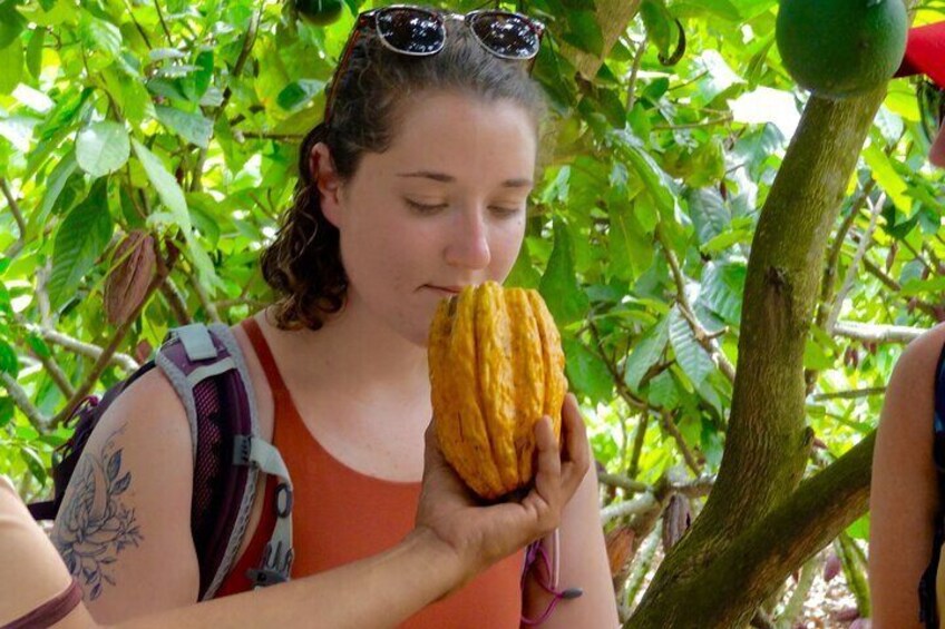 Cocoa farm tour to learn more about the chocolate making processes.