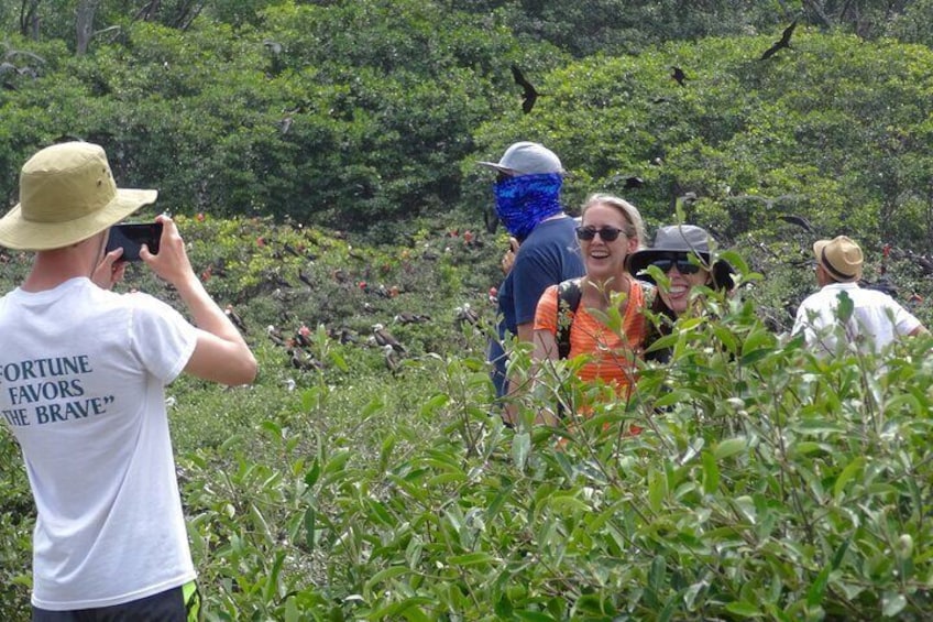 Day trip from Guayaquil :Mangroves,dolphins and birds