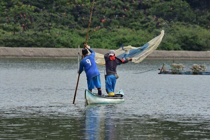 Full day private tour Mangroves, dolphins and birds from guayaquil