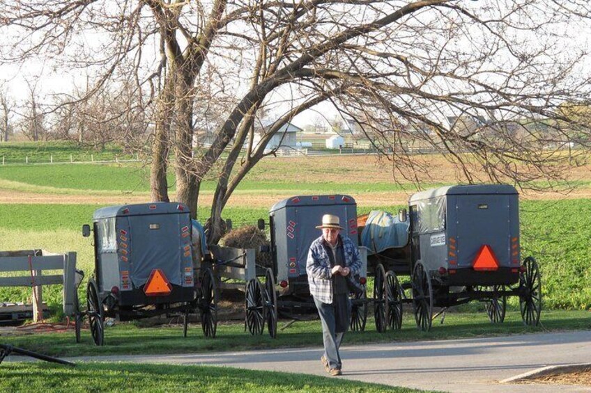 Amish Buggy Parking