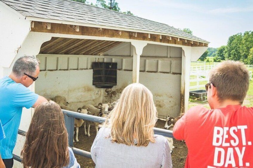 Private Driving Tour of Lancaster and Amish Country