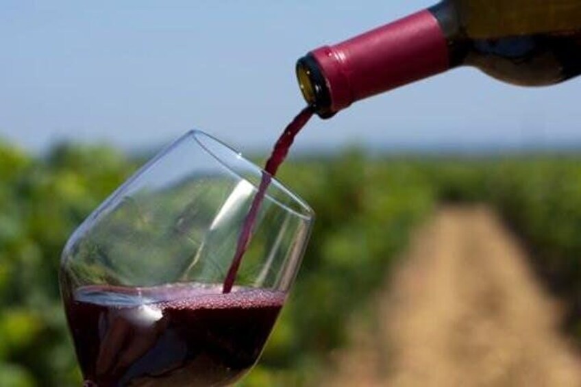 Brandywine Valley Tour with Private Driver