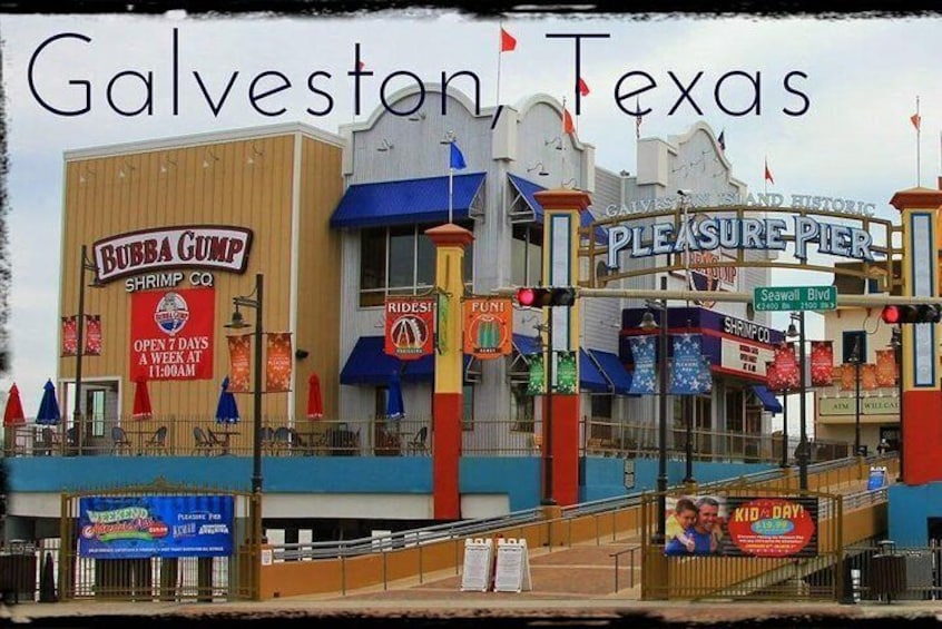 Fun under the Galveston Sun!