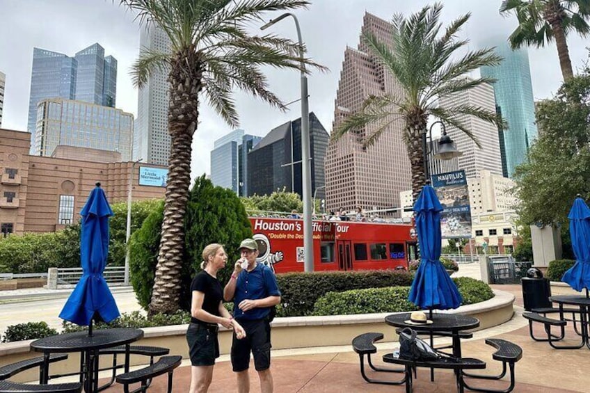 Houston's Official City Tour