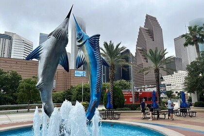 Houston City Tour und Downtown Aquarium Alle Fahrten passieren