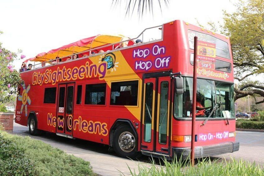 Hop-On Hop-Off New Orleans Unlimited Sightseeing Package