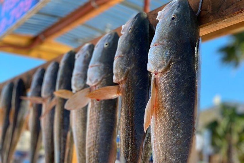 Private Bay Fishing South Padre Island