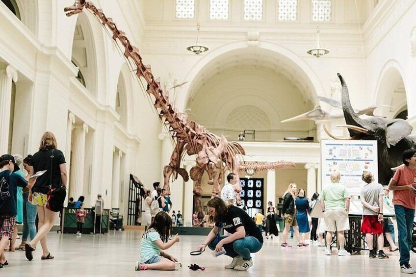 Field Museum of Natural History Admission Tickets