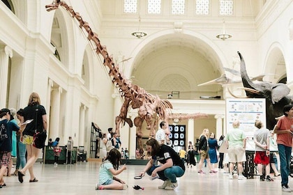 Pase con acceso a todo al Museo Field de Historia Natural