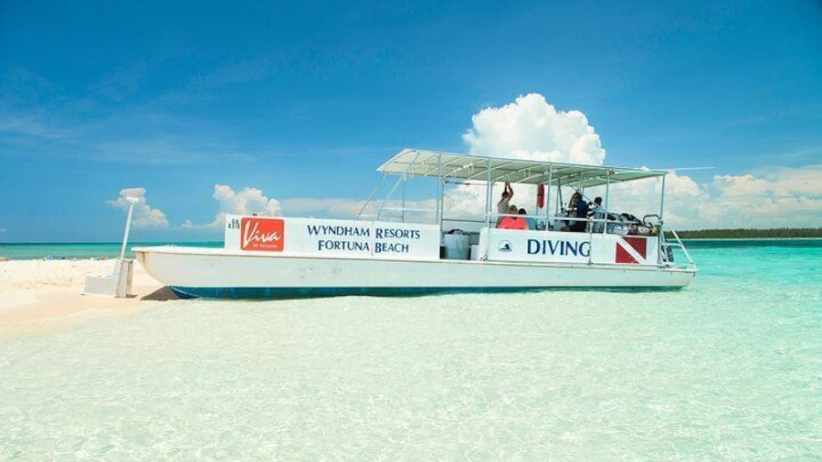 Our Catamaran