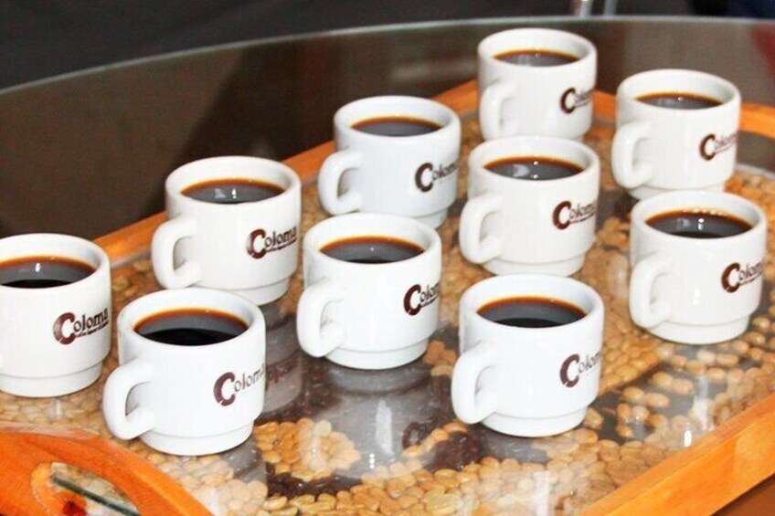 Coffee Tour in Hacienda Coloma in Fusagasugá from Bogotá (Private tour)