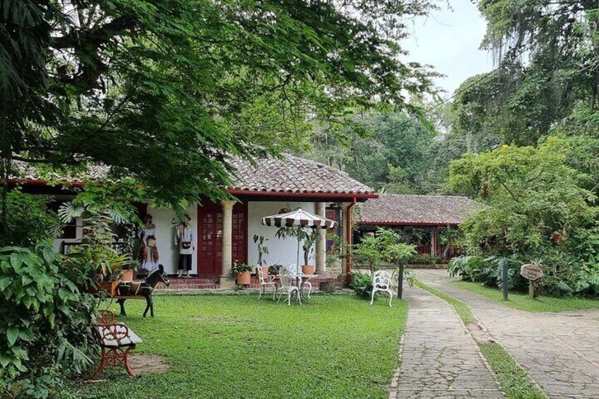 Exclusive Coffee Experience: Hacienda Coloma Tour from Bogotá