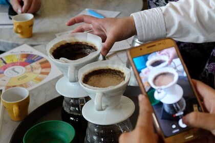 Specialty Coffee Workshops in Bogota