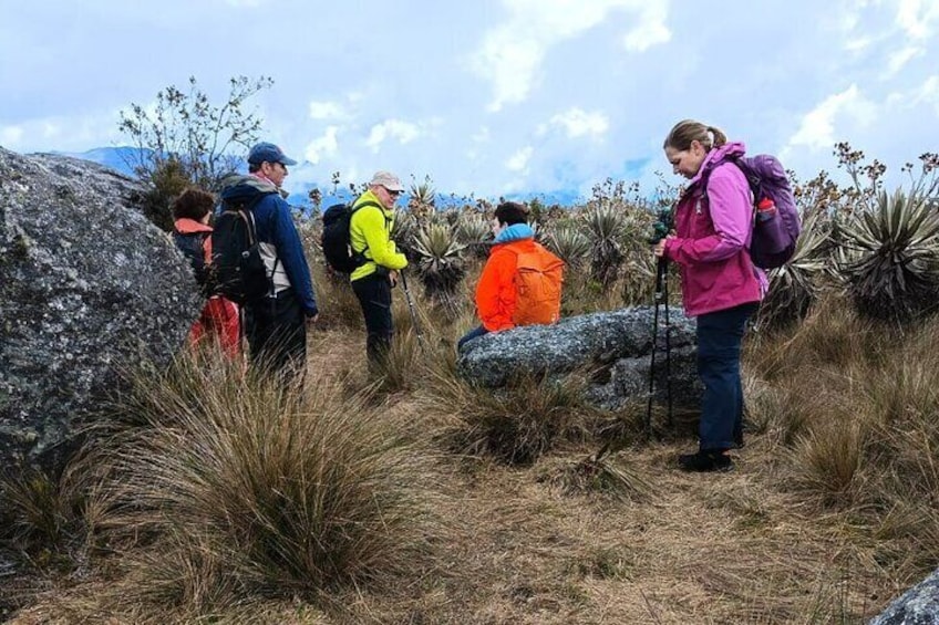 Chingaza National Park Day Tour from Bogotá: Explore Andean Wilderness