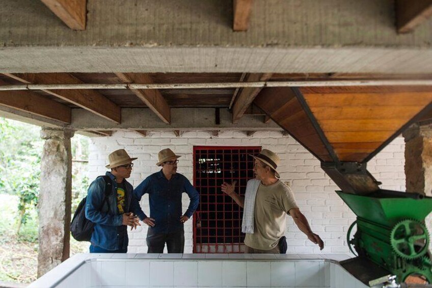 Travelers hear how coffee is produced, from the seed to the washing and drying process.