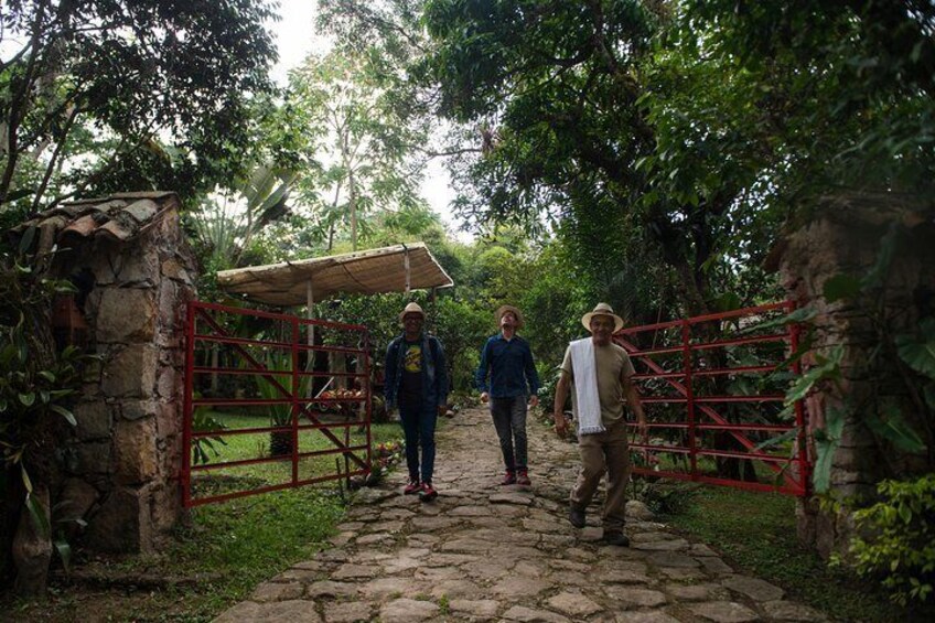 Travelers breathe in the aroma of coffee and explore nature at Hacienda Coloma Coffee plantation in the town of Fusagasugá, Colombia.