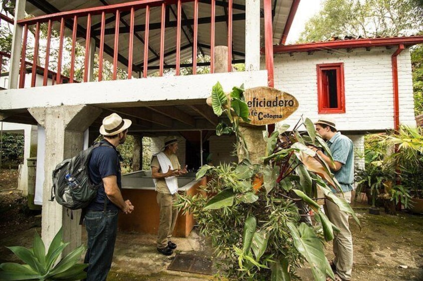 Full-Day Coffee Farm Experience at Hacienda Coloma from Bogotá