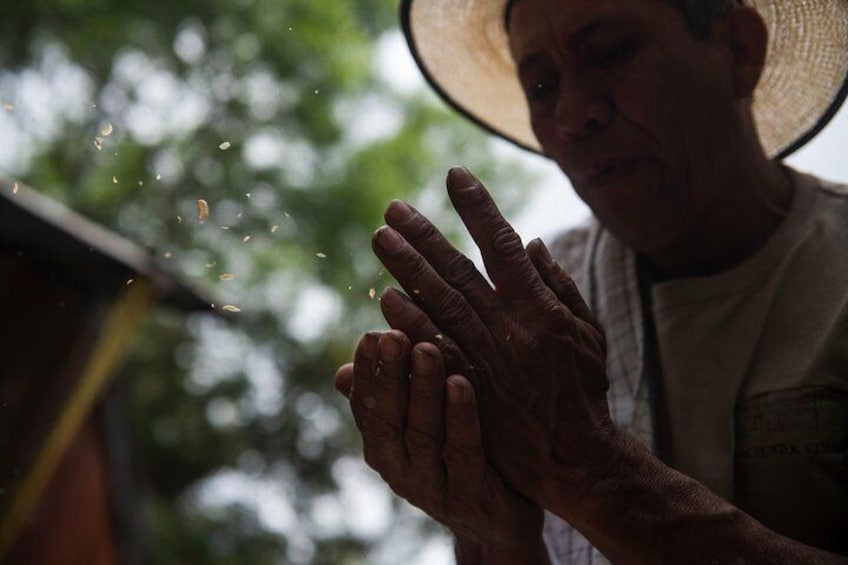 Tour guide removes the husk of the coffee grain making it ready for roasting and grinding.