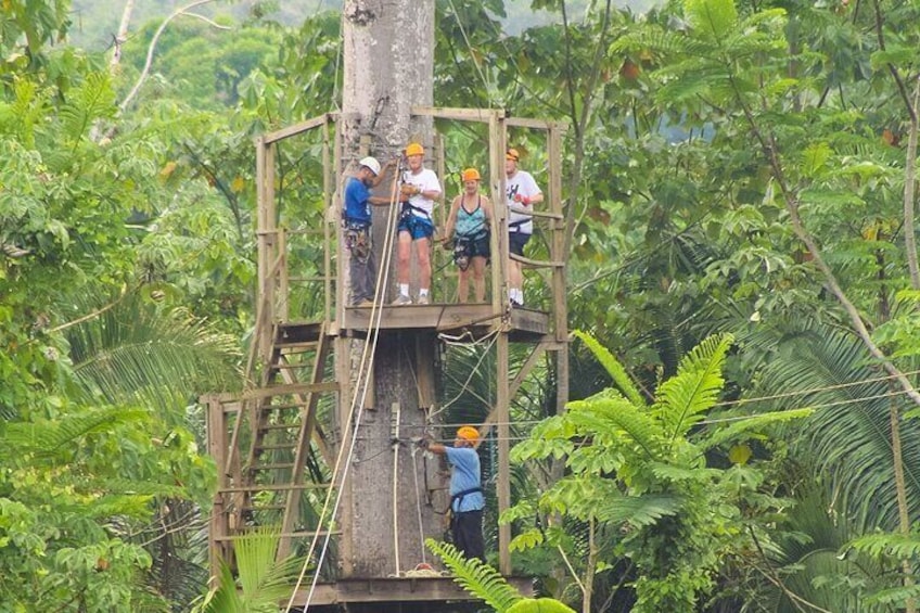 Jungle Canopy Zipline!