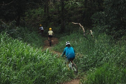 Mountain Bike Adventure to Xunantunich Maya Site in Belize