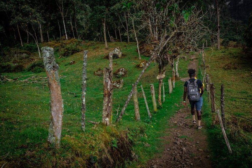 On the way to la Chorrera