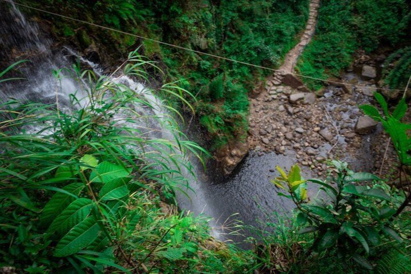 Nature everywhere!