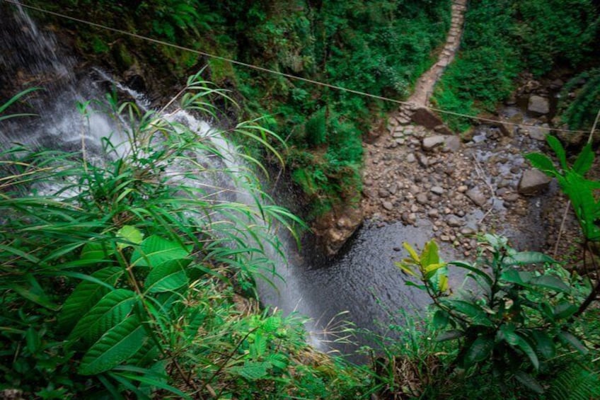 Nature everywhere!