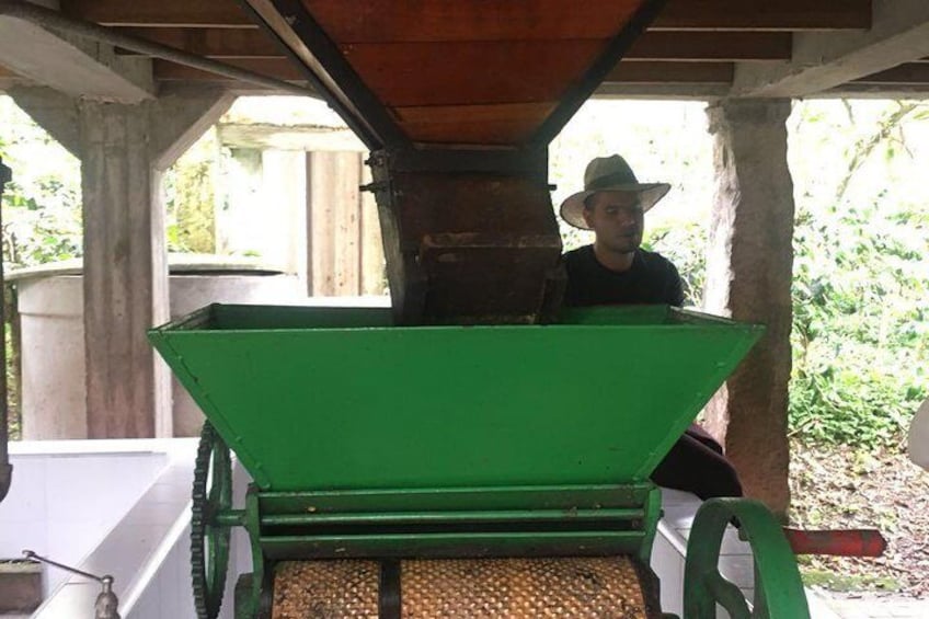 All about coffee farming!