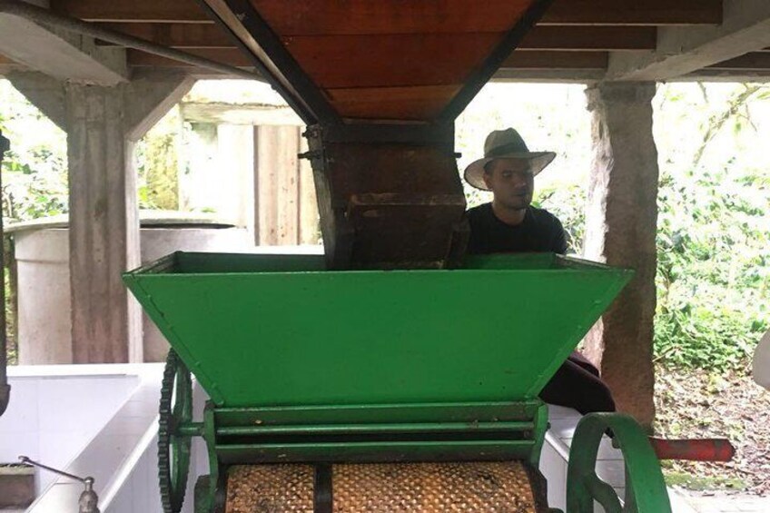 All about coffee farming!
