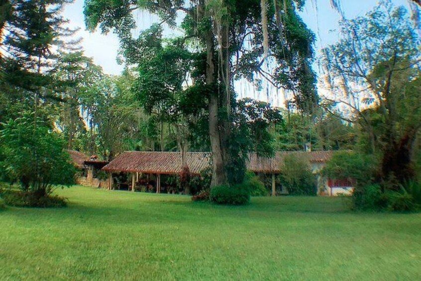 Garden at the coffee farm