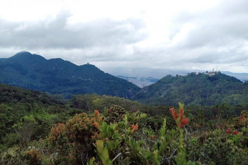 Horseback Riding from Guadalupe to Monserrate