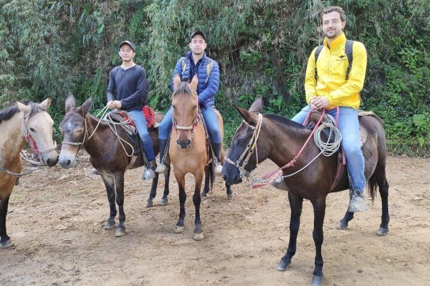 Horseback Riding from Guadalupe to Monserrate