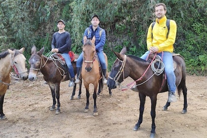 Horseback Riding from Guadalupe to Monserrate Private Day-Tour