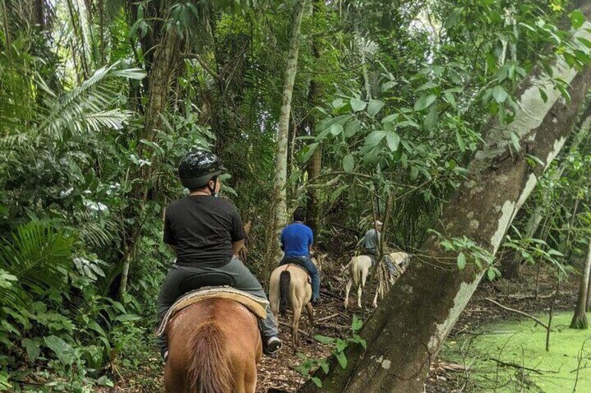 Xunantunich & Adventure Horse Ride