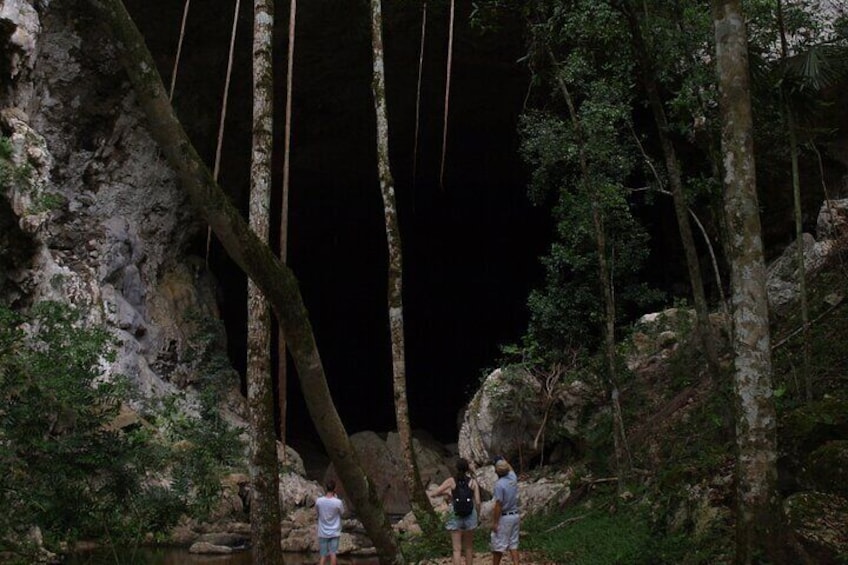 Mountain Pine Ridge Tour from San Ignacio