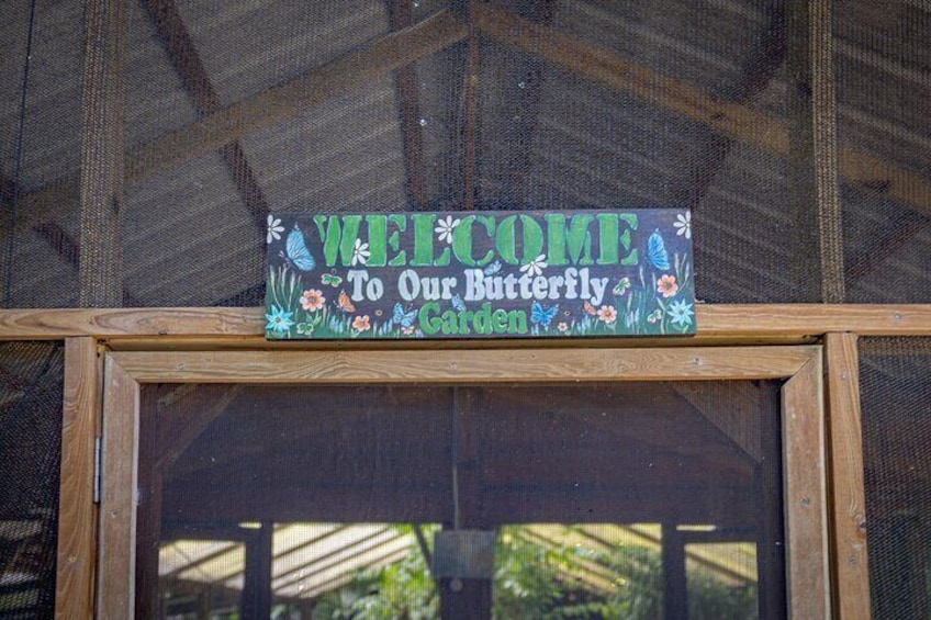 Half-Day Barton Creek Cave with Optional Zipline, Butterfly Farm Or Rock Falls