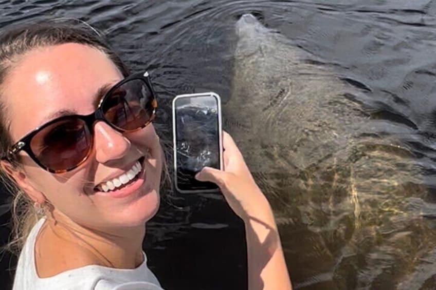 Take epic photos of manatees in the wild
