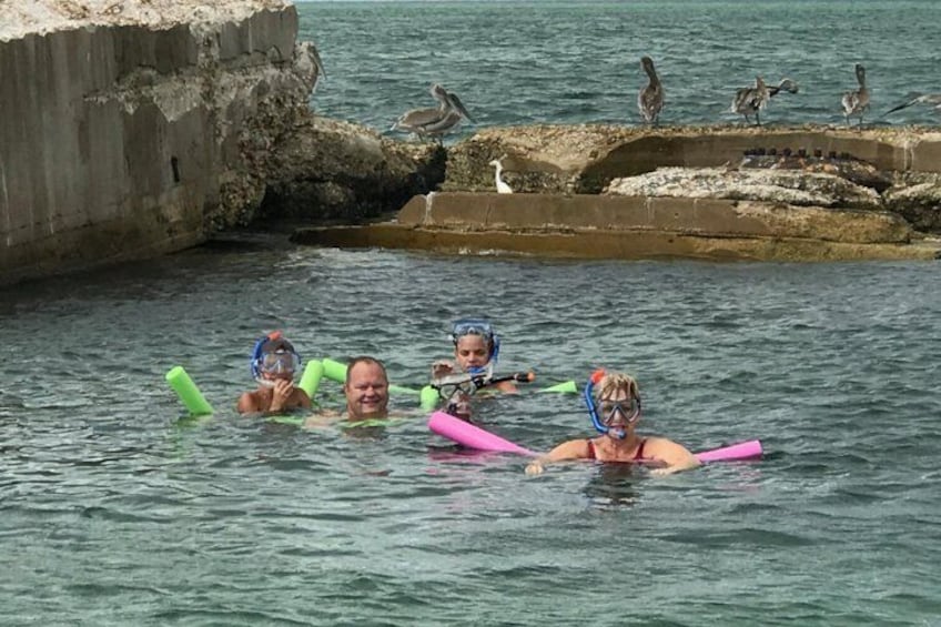 Shared 2 Hours Dolphin Watch Cruise with Snorkeling to Shell Key