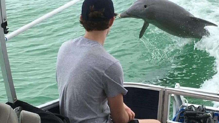 Shared 2 Hours Dolphin Watch Cruise with Snorkeling to Shell Key