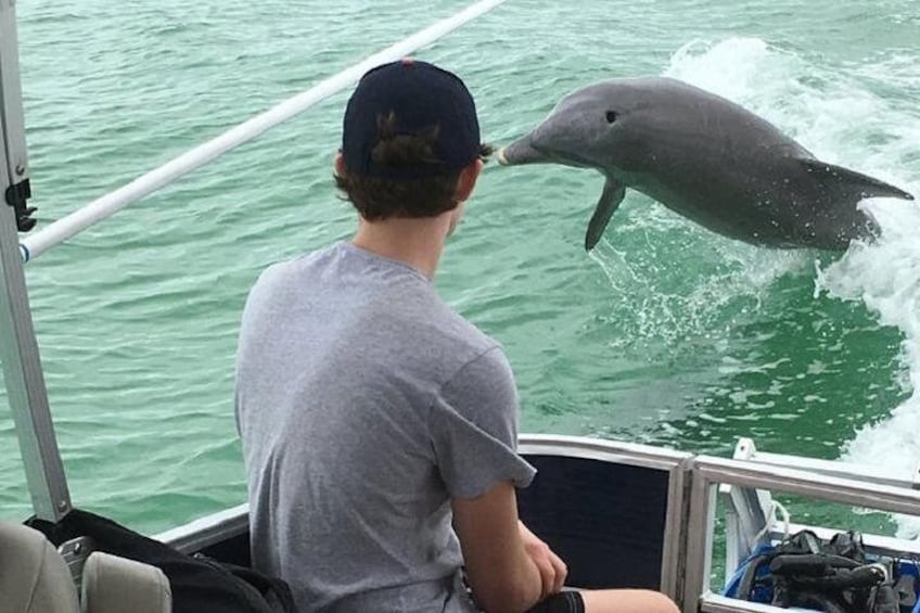 Shared 2 Hours Dolphin Watch Cruise with Snorkeling to Shell Key