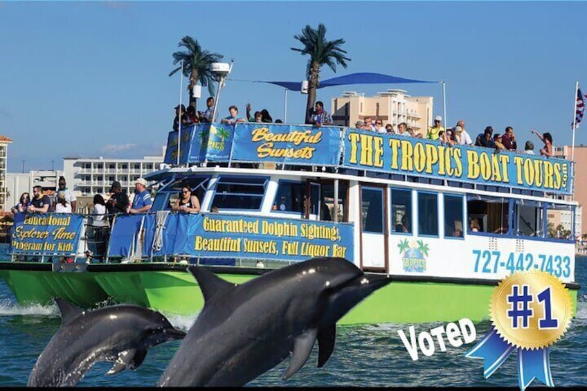 Clearwater Dolphin-Watching Tour