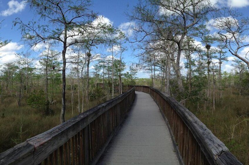 The Boardwalk