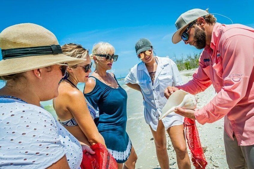 Identifying shells