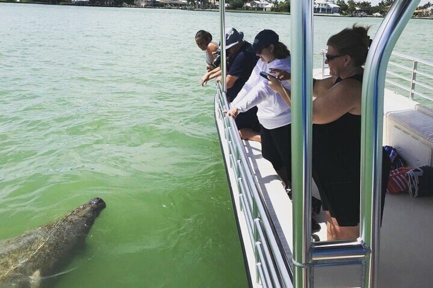 Manatee Spotting!