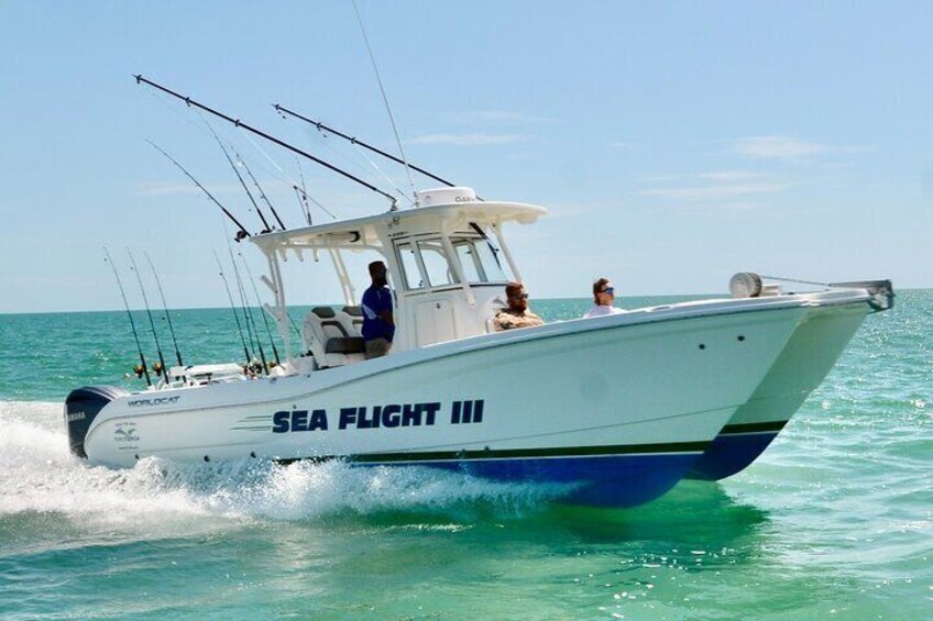 Deep Sea Fishing Four Hour Experience with Experienced Captain