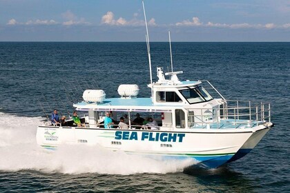 Experiencia de cuatro horas de pesca en alta mar con el capitán experimenta...