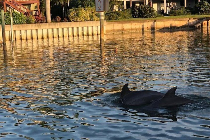 Shared 2 Hours Small Group Sunset Cruise of St. Pete Beach