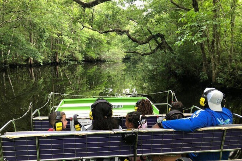 Sea Dragon Airboat Safari in Saint Augustine with a Guide