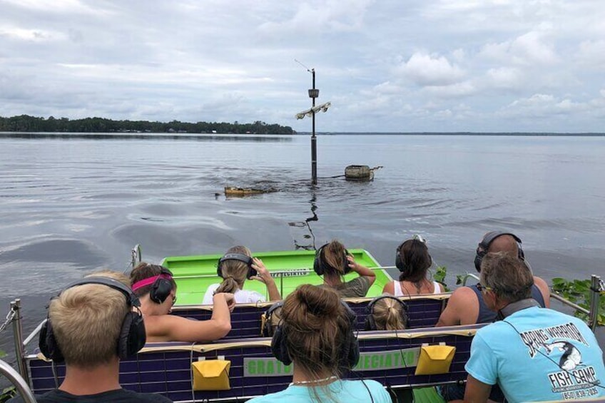 Sea Dragon Airboat Safari in Saint Augustine with a Guide